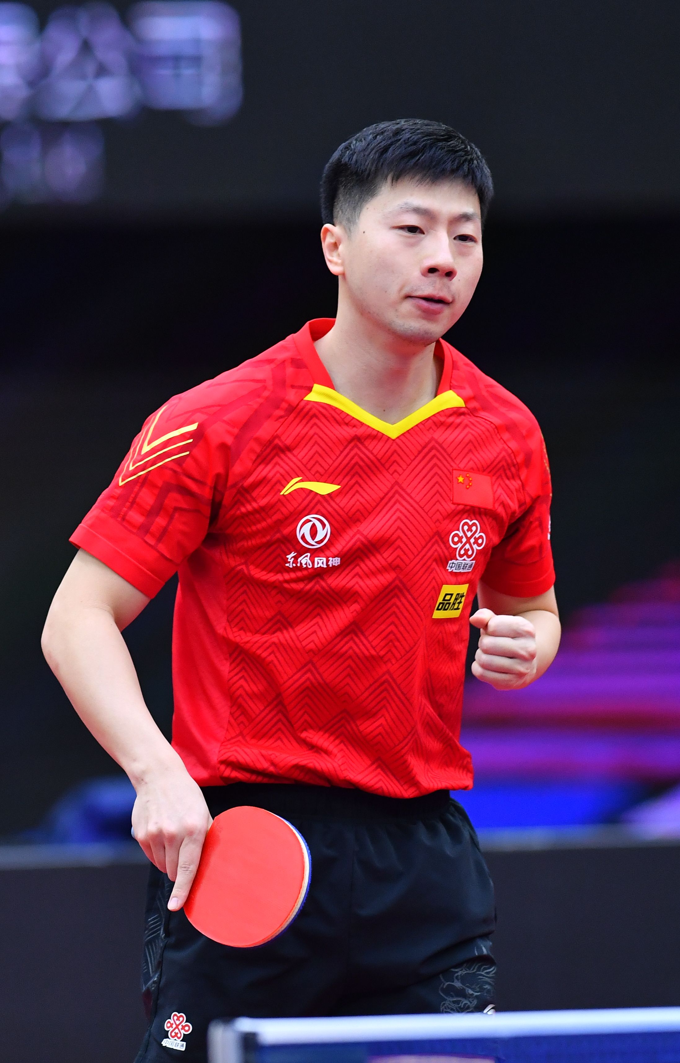 的公牛队 的公牛队